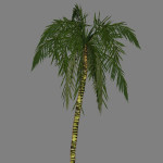 yvh-palm-generic-scr1